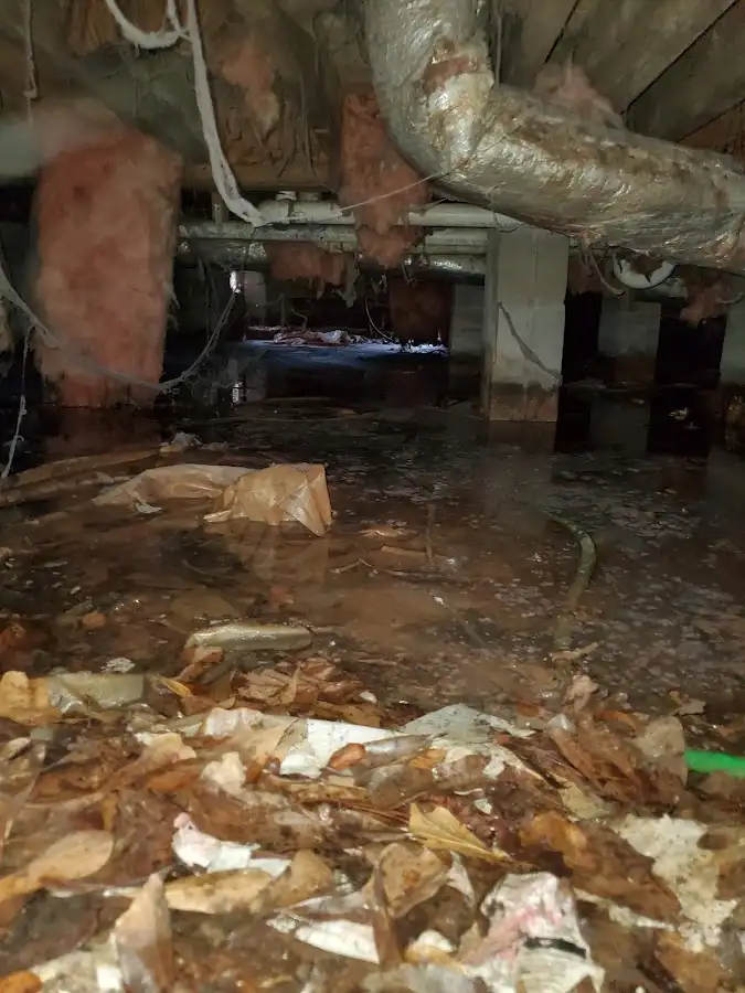 Crawl space flood assessment for Leak Detection & Repair in Spanish Springs